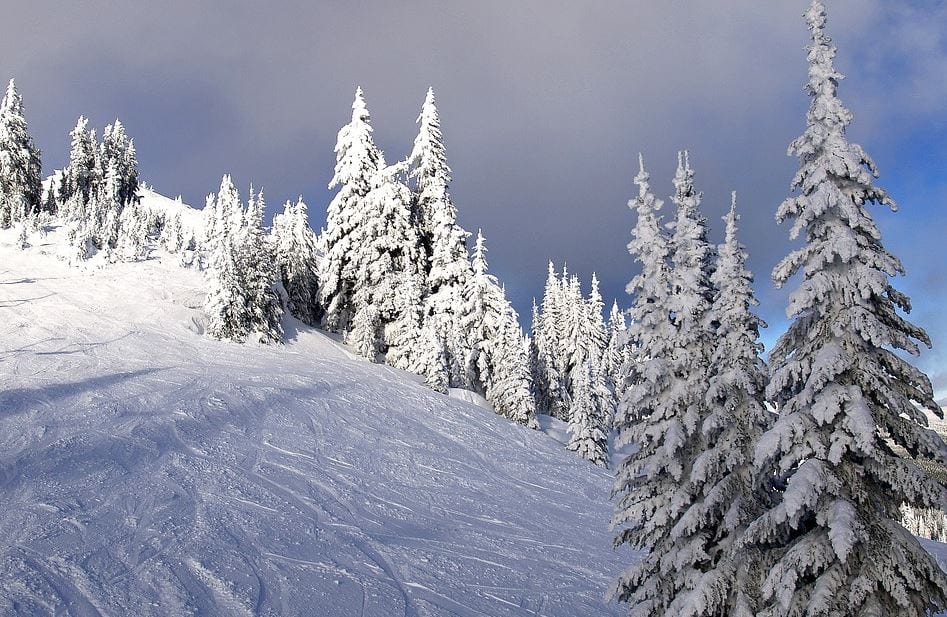 vacation rental management whistler