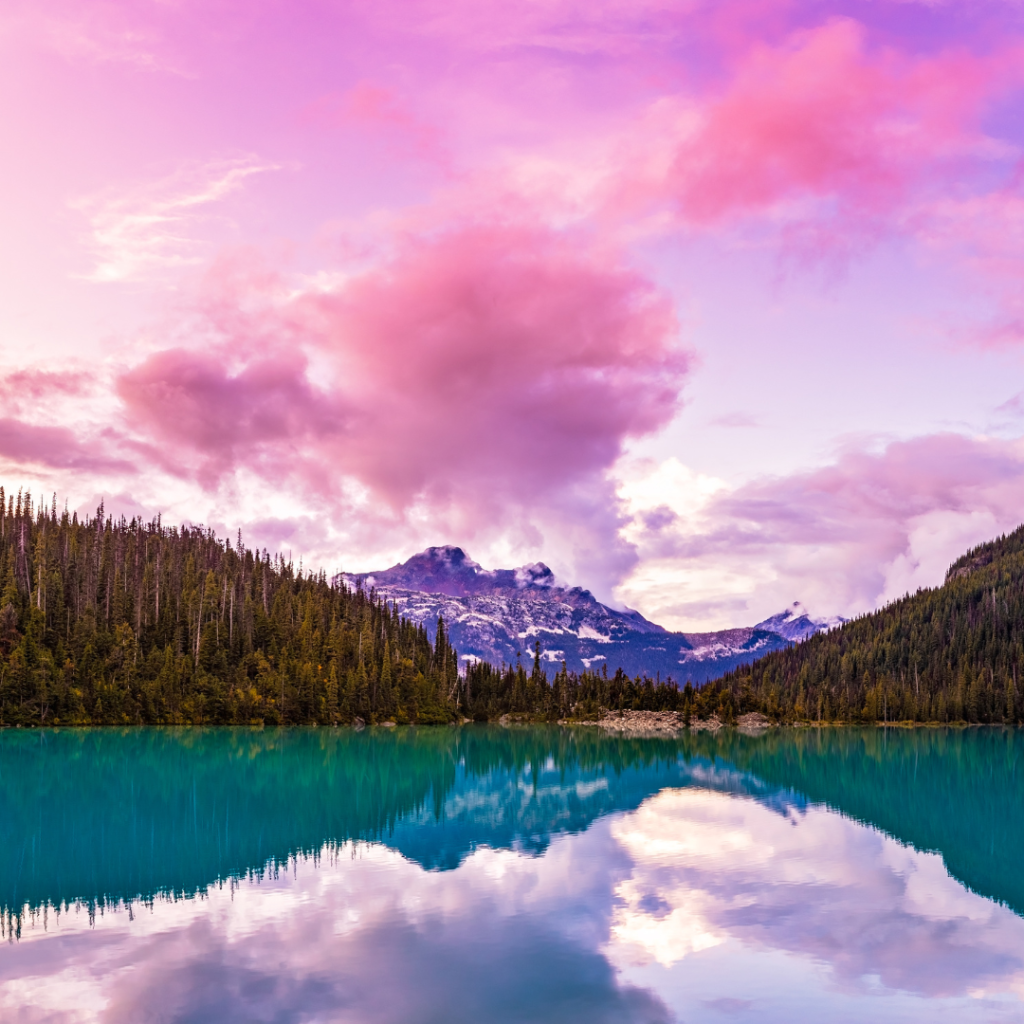 Summer exploring whistler